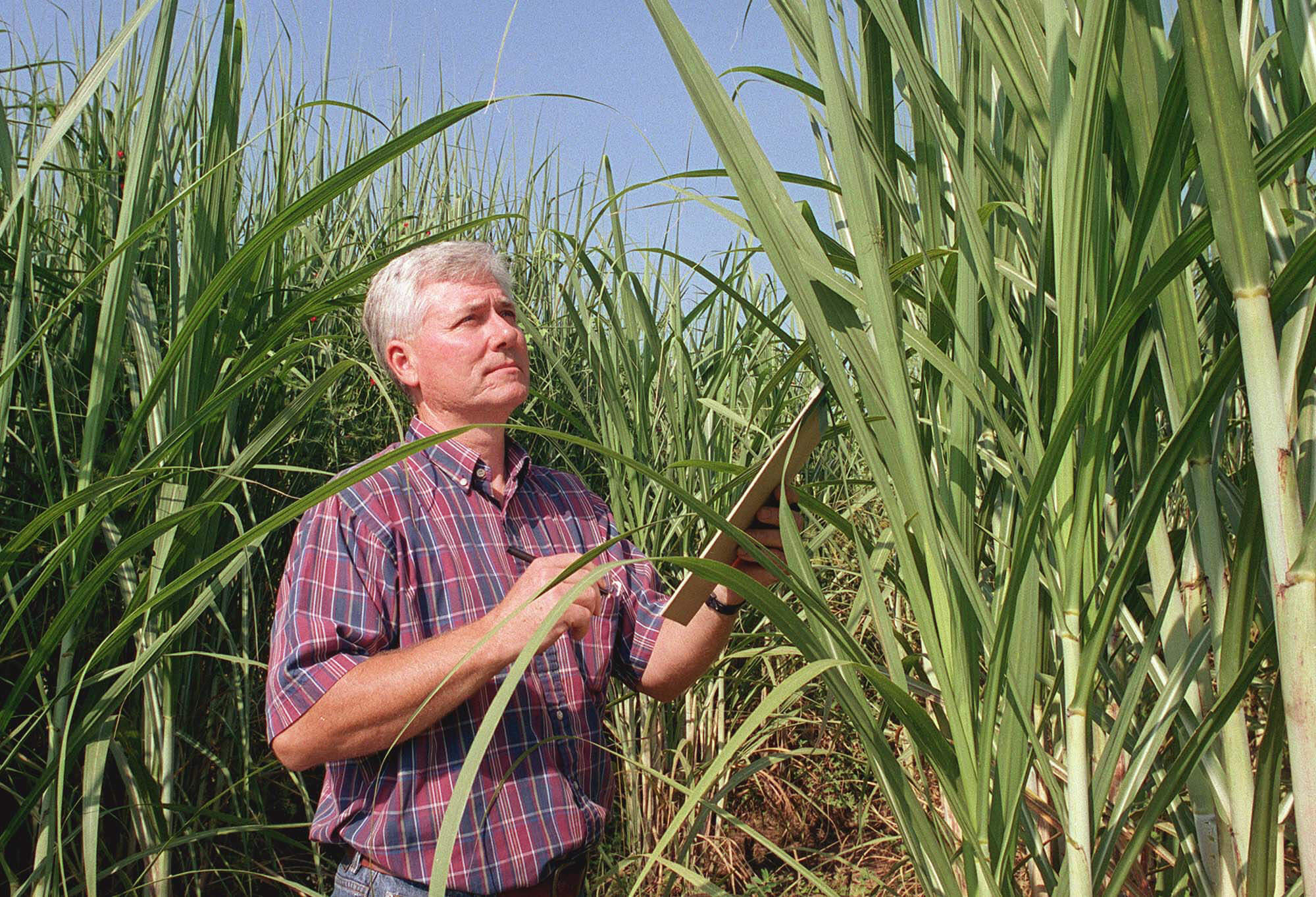 David Wright - Faculty of Land and Food Systems