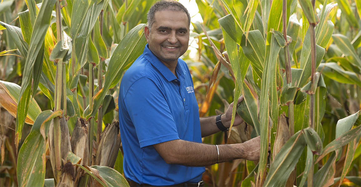 Dr Sudeep in Corn Field